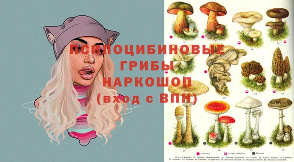 прущая мука Новокубанск